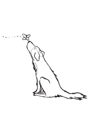 The Voices Compilation